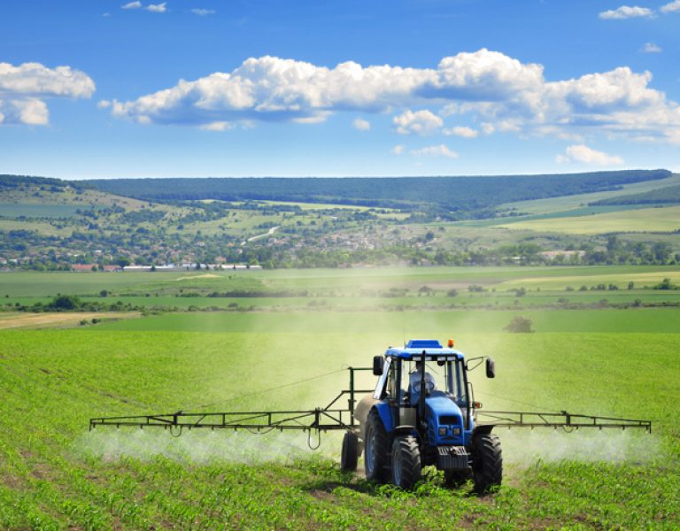 export import au Sénégal